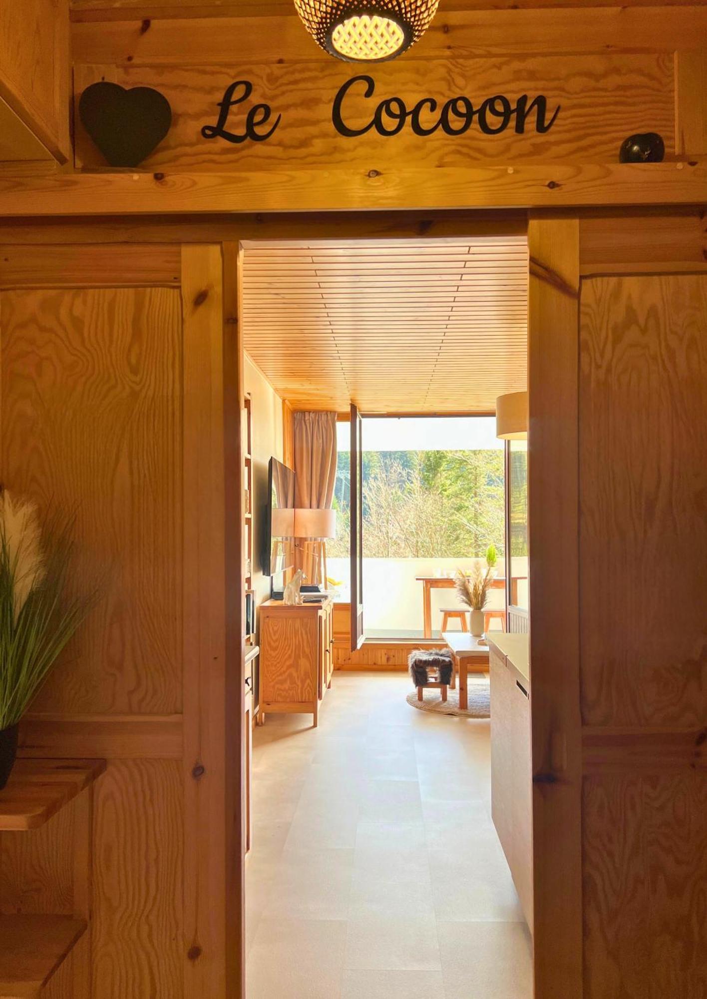 Le Cocoon - Appt Vue Montagne Apartman La Bresse Kültér fotó