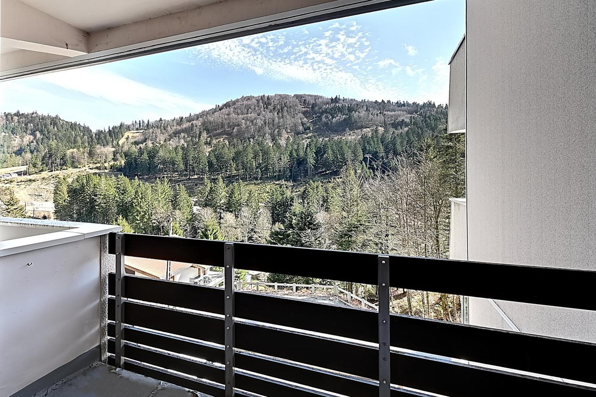 Le Cocoon - Appt Vue Montagne Apartman La Bresse Kültér fotó