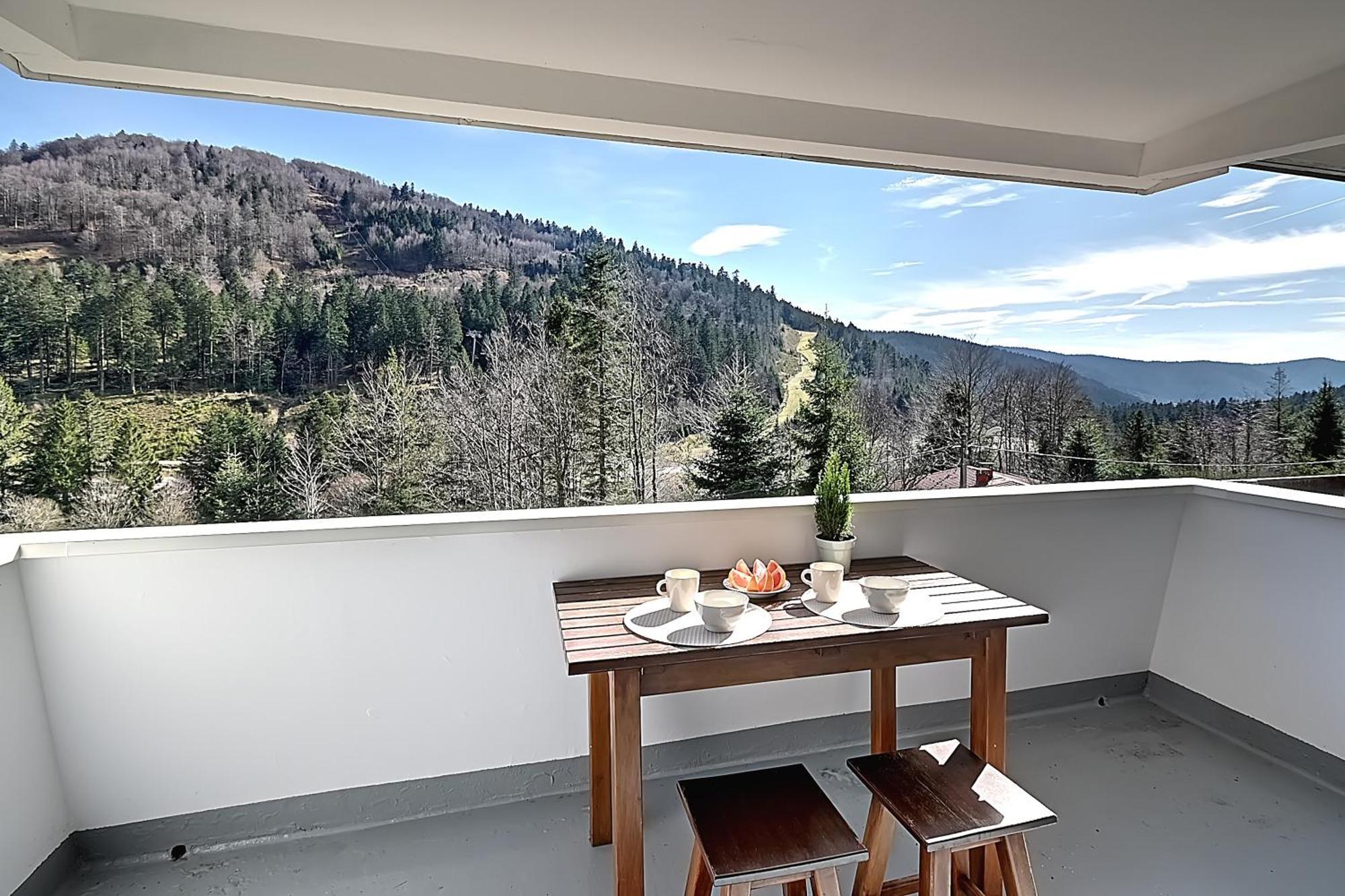 Le Cocoon - Appt Vue Montagne Apartman La Bresse Kültér fotó